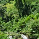 8월 필리핀 추천해요~ 이미지