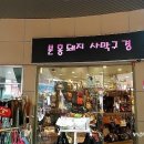 분홍돼지사막구경