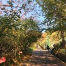 황령산레포츠공원 테니스장 이미지