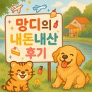 실생활에 활용하는 힐링타로 클래스 | [김해] 부원동 플로릭 스튜디오 내돈내산 센터피스 원데이클래스 만족 후기