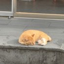 신촌15길 4, (지현동) | 시험이 끝나 행복한