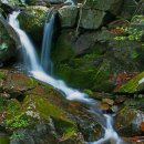 (주)참좋은행복 이미지