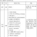 마음챙김요가가 여성에 미치는 영향 - 연구 프로그램 이미지