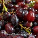 밤나무산장 이미지