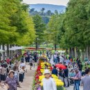 행복한 정원 이미지