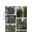 남도삼백리길(1코스) 이미지