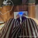 주식회사 미즈웰산후조리원 | [화명동] 미즈웰 산후조리원 내돈내산 후기