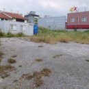 포항장흥초등학교 이미지