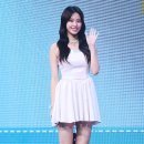 포토조아 이미지