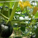 소중농원 이미지