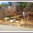 금전산 일원 이미지