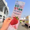 [3월 재능나눔] 스마트폰으로 매력적인 사진찍기 | 2026 논산딸기축제 후기 주차 먹거리 성심당까지 성공