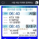 나는베짱이 이미지