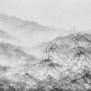시집