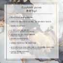 셀린뷰티 네이버블로그