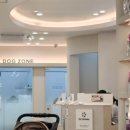 레오동물병원 | 김포 24시 동물병원 FM동물메디컬센터 김포점 후기