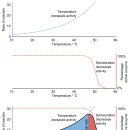 Re: 열충격단백질 - 항암치료 - 2020년 Cells 논문 이미지