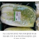 "한우보다 비싸…" 한 통에 2만2000원 '공포의 배춧값' 이미지