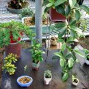 동희농원 이미지