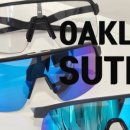 안경박사포항점 이미지