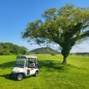 에코랜드 골프호텔 이미지