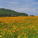 근남작은도서관 이미지