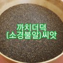 까치슈퍼 이미지