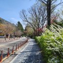 지에스25 무주덕유산점 이미지