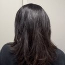 청담동 헤어샵 헤어영양제 LPP셀프 염색 후 거칠어진 모발 케어 보타미안엔젤