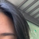 (주)지성약품 | 헤드앤숄더샴푸 향 비듬 상태 내돈내산 후기