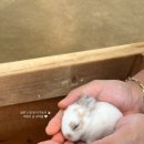 윤한농장 네이버블로그