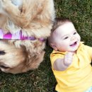 해운대동물메디컬센터 이미지