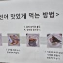 어풍선어 & 활어
