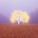 소울아트스페이스 네이버블로그