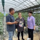 김선영농장 이미지