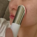 홈다니지