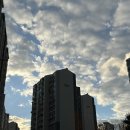 추억의 옛날통닭 홍성점 이미지