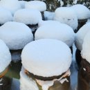 하얀나라 깨끗한세상 이미지