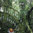 상면초등학교 이미지