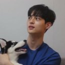 투탑 이미지