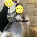 인화미용실 티스토리
