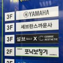 파스텔아트 | 대전 서구 네일아트 추천 : 설브용문점에서 받은 파스텔 봄네일 후기