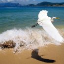 사랑의하모니 이미지