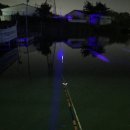 천성낚시터 이미지