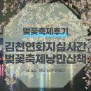 김천현대종합정비 | 김천연화지 실시간 야간벚꽃 후기 비오는밤 낭만 산책