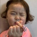 스테이해하 이미지