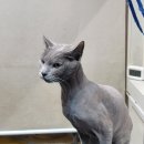 유스타 그루밍 이미지