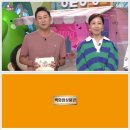 동물농장애견미용학원