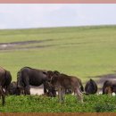 친절카서비스 이미지