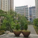 호반약국 이미지